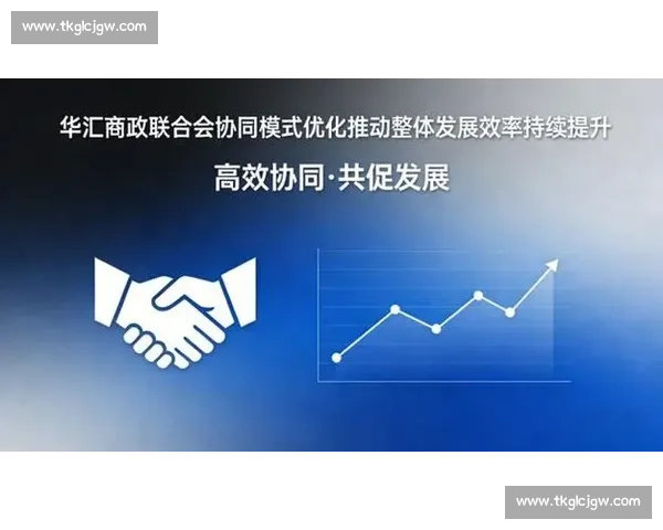 以整体运转为核心推动系统协同优化实现高效稳定发展的新路径探索